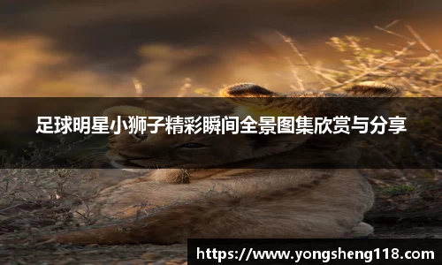 足球明星小狮子精彩瞬间全景图集欣赏与分享